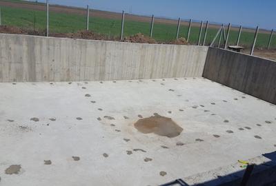 Teren de 60000 mp, în Albina - 4