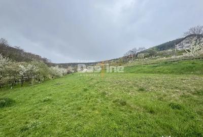 Teren de 950 mp, în Central