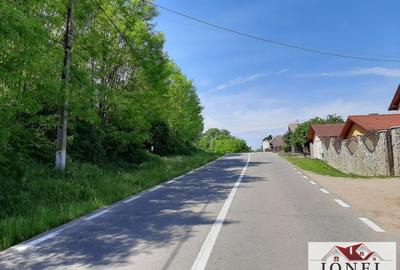 Teren Construcții intravilan de 700 mp, în Ciugud - 3
