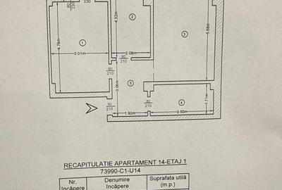 Apartament cu 2 camere decomandat în Valea Lupului - 6