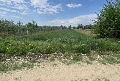 Teren de 1600 mp, în Dragomirești - 1
