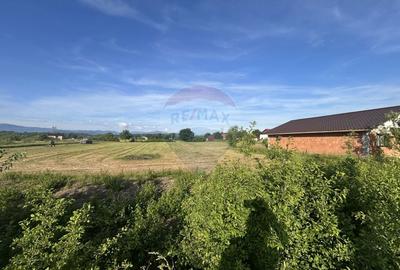 Teren Construcții intravilan de 6200 mp, în Coltău - 5
