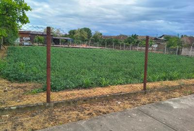 Teren Construcții intravilan de 900 mp, în Biled