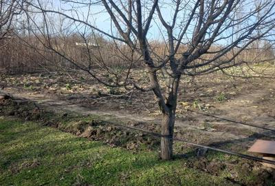 Teren de 1652 mp, în Gheorghe Lazăr