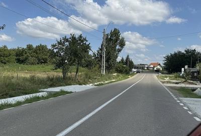Teren de 1000 mp, în Lipovăț - 5