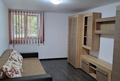 Apartament cu 2 camere decomandat în Dosu Bricii