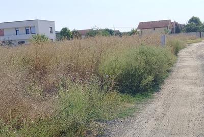 Teren Construcții intravilan de 500 mp, în Malu Mare