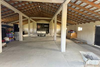 Casă cu 4 camere cu Teren 12000 Mp în Cepari
