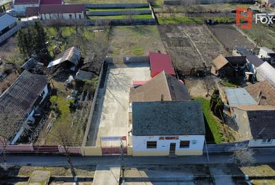 Spațiu comercial, de 170 mp, în Denta - 17