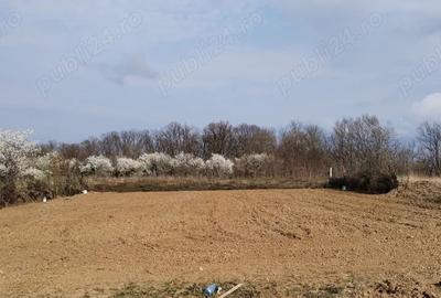 Teren de 888 mp, în Paleu
