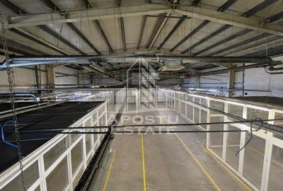 Spațiu industrial, de 1,734 mp, în Buziașului