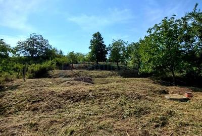 Teren Construcții intravilan de 810 mp, în Dealuri Oradea