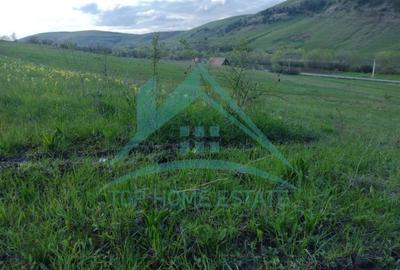 Teren Construcții intravilan de 4200 mp, în Gârbău - 5