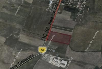 Teren de 30000 mp, în Covaci - 1