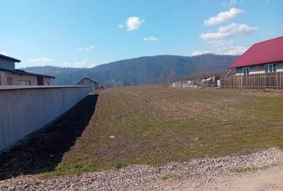 Teren de 3460 mp, în Dumbrava - 7