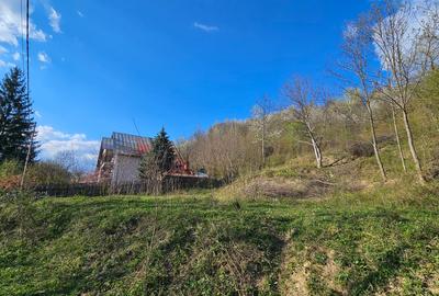 Teren Construcții intravilan de 1800 mp, în Brebu Megieșesc - 14