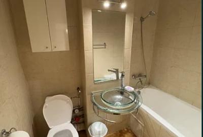 Apartament cu 2 camere decomandat, mobilat în Camil Ressu - 2