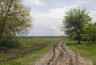 Teren agricol extravilan de 12000 mp, în Maglavit - 1