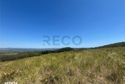 Teren de 27400 mp, în Holod
