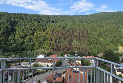 Apartament cu 2 camere semidecomandat în Sud - 2