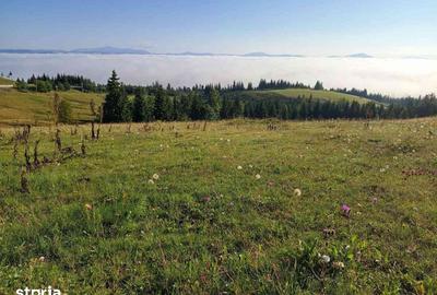 Teren de 3500 mp, în Tiha Bârgăului - 4