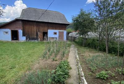 Casă cu 2 camere cu Teren 2600 Mp în Poieni - 12
