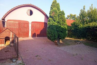 Casă individuală cu 6 camere cu Teren 500 Mp în Nădlac - 20