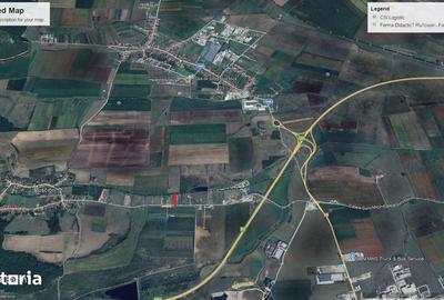 Teren de 3700 mp, în Șura Mică - 1