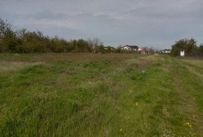 Teren de 5000 mp, în Afumați - 9