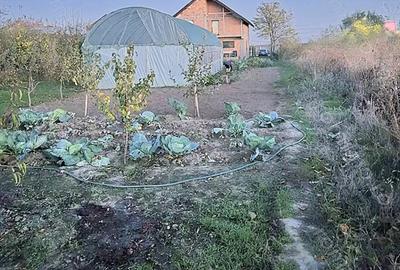Casă cu Teren 1300 Mp în Varlaam - 3