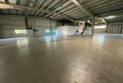 Spațiu comercial, de 2,000 mp, în Șagului