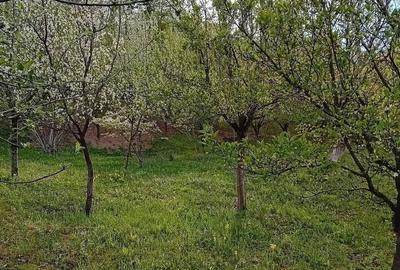 Teren de 5800 mp, în Central