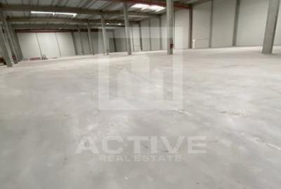 Spațiu industrial, de 800 mp, în Someșeni