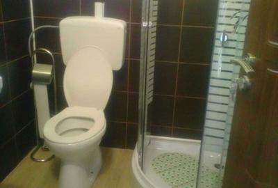 Casă cu 4 camere în Sâmbăta de Sus - 8