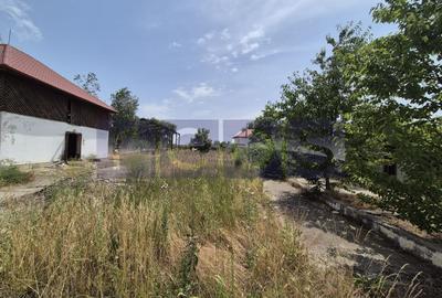 Teren Construcții intravilan de 35510 mp, în Belciugatele - 11