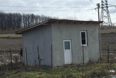 Teren Construcții intravilan de 5000 mp, în Poiana Mare