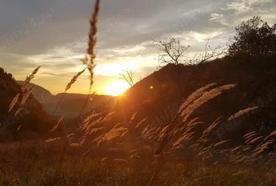 Teren de 8500 mp, în Hărțăgani - 7