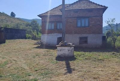 Casă cu Teren 6000 Mp în Central