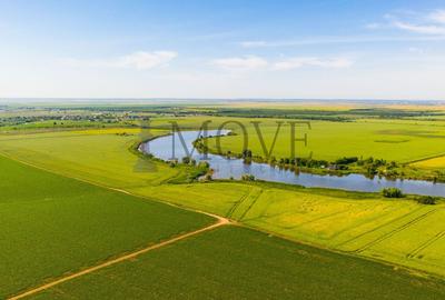 Teren agricol extravilan de 220000 mp, în Est - 18