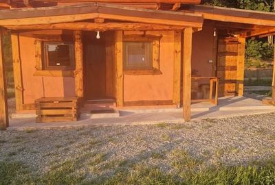 Casă cu 3 camere în Săliște