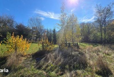 Teren de 938 mp, în Bran