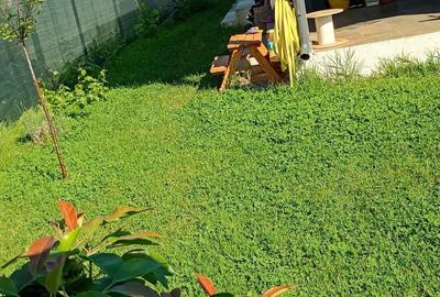 Casă cu 3 camere cu Teren 300 Mp în Cornetu - 3