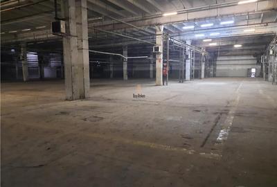 Spațiu industrial, de 5,500 mp, în Est - 7