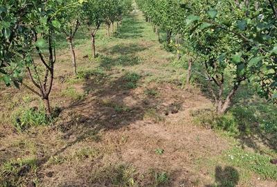 Casă cu 2 camere cu Teren 2946 Mp în Răzoare