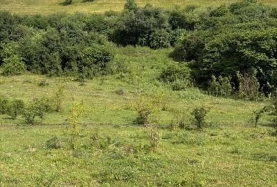 Teren de 2200 mp, în Sava