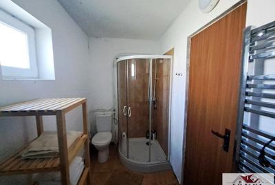 Casă individuală cu 2 camere cu Canalizare în Lunca Mureșului - 9