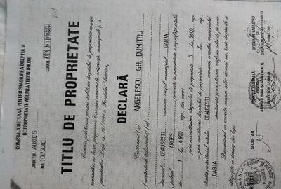 Teren de 40000 mp, în Bradu