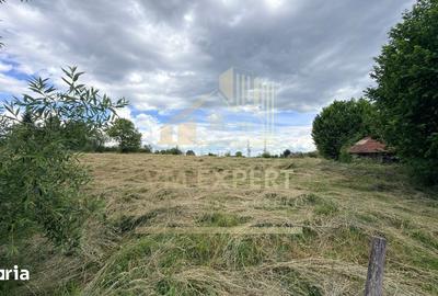Casă cu 3 camere cu Teren 6997 Mp în Moieciu - 2