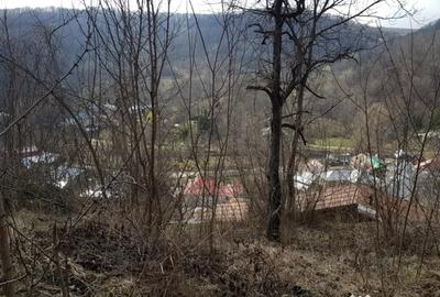 Teren de 2700 mp, în Telega - 6