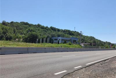 Teren de 17000 mp, în Cornu - 10